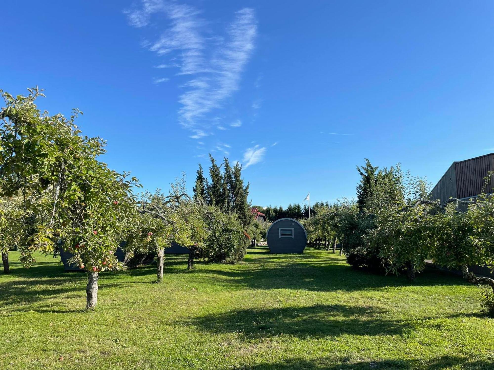 Vetsi Talli Holiday Village Kassari Buitenkant foto