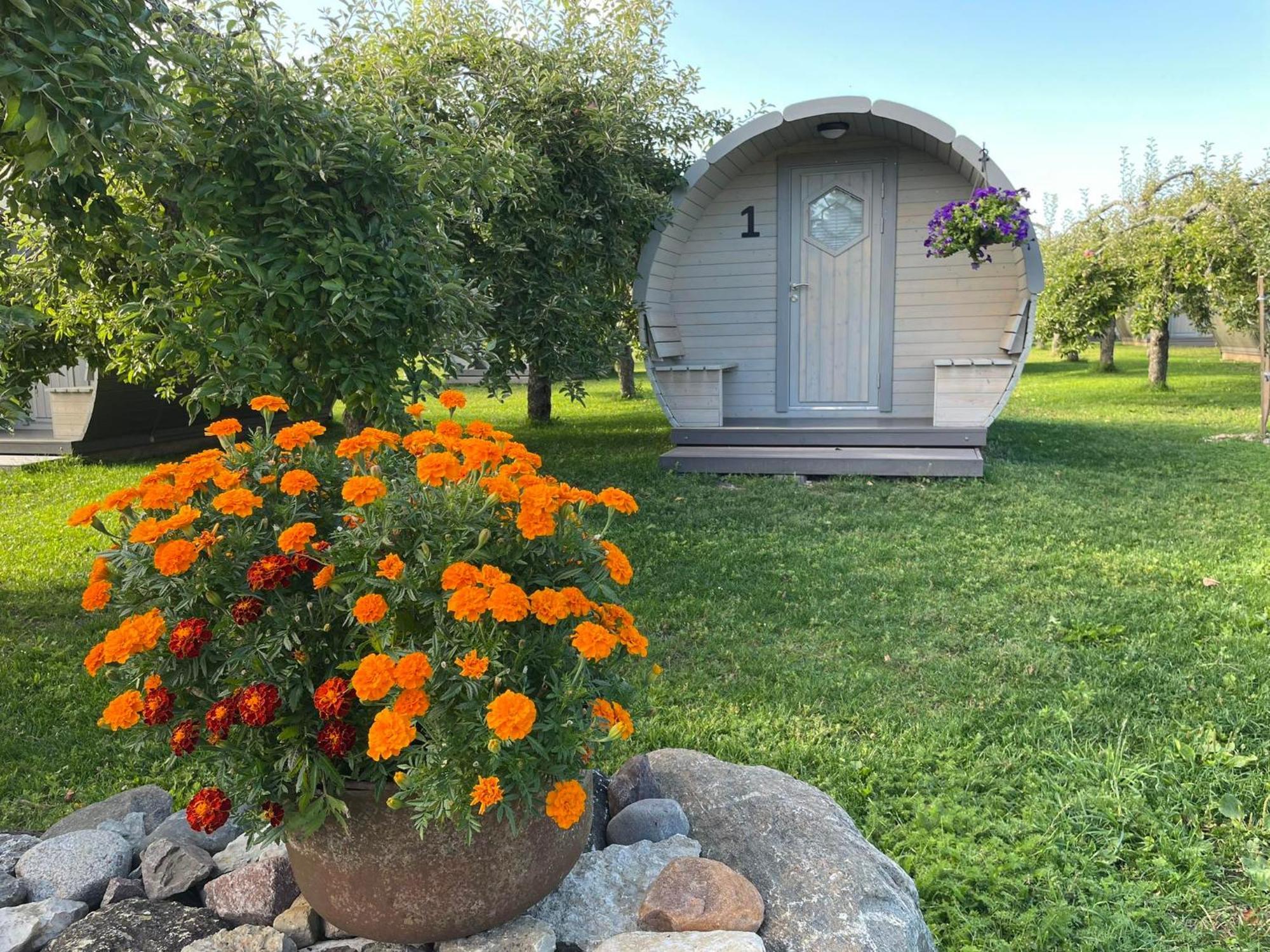 Vetsi Talli Holiday Village Kassari Buitenkant foto